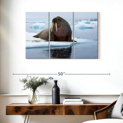 Walrus On Ice