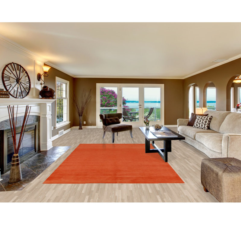 Orange Solid Modern Gabbeh Vegetable Dye Area Rug 6x9