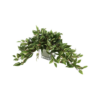 Ricka 13 " H Faux Plant in Glass Pot