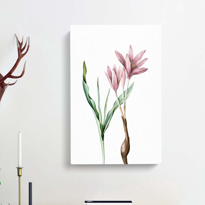 Pink Autumn Crocus Flowers by Pierre-Joseph Redoute - Wrapped Canvas, 76cm H x 50cm W x 3cm D