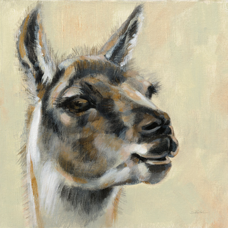 Llama Portrait by Silvia Vassileva - Wrapped Canvas Painting, 76cm H x 76cm W 
