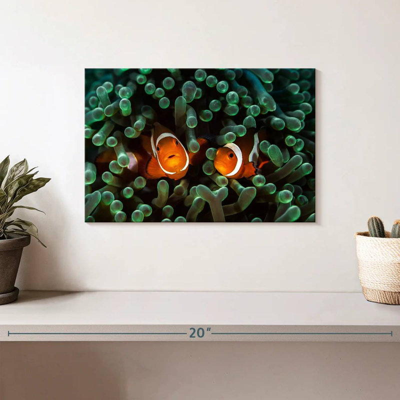 Brampt Two Clownfish Hiding, 8" H x 12" W