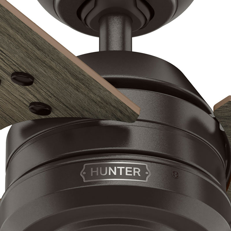 Hunter 36 inch Cassius Damp Rated Ceiling Fan with Pull Chain