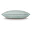 Danae Lumbar Pillow Cover & Insert