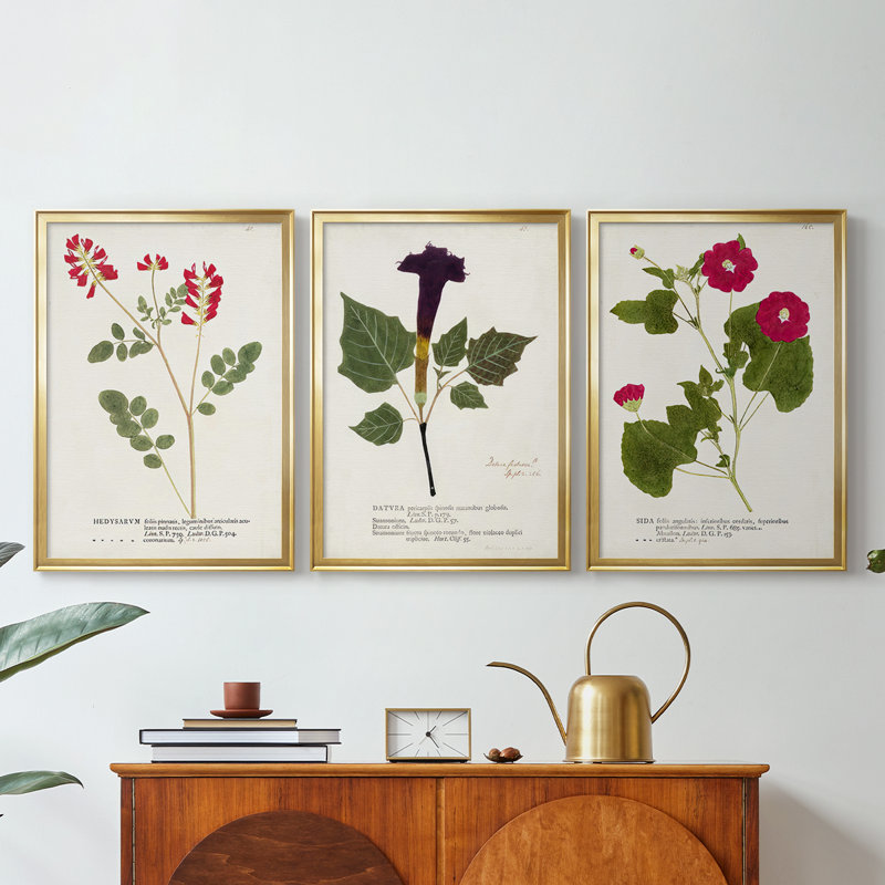Nature imprimé Botanicals III - Toile tendue avec châssis sur mesure - 3 pièces, H 19 po x l 45 po, Doré