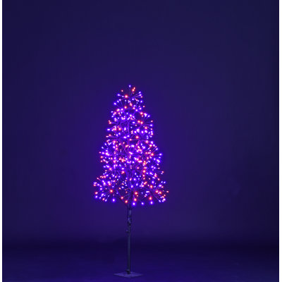Lighted Trees & Branches