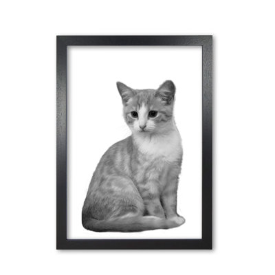Cat - Print