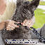 Lit voiture pour chien en mousse à mémoire de forme PeedProtector Performance Tweed