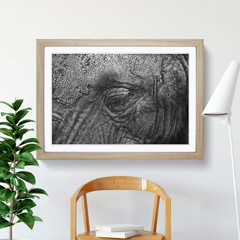 Elephant - Picture Frame Graphic Art Print, 62cm H x 87cm W x 2cm D, Oak Framed