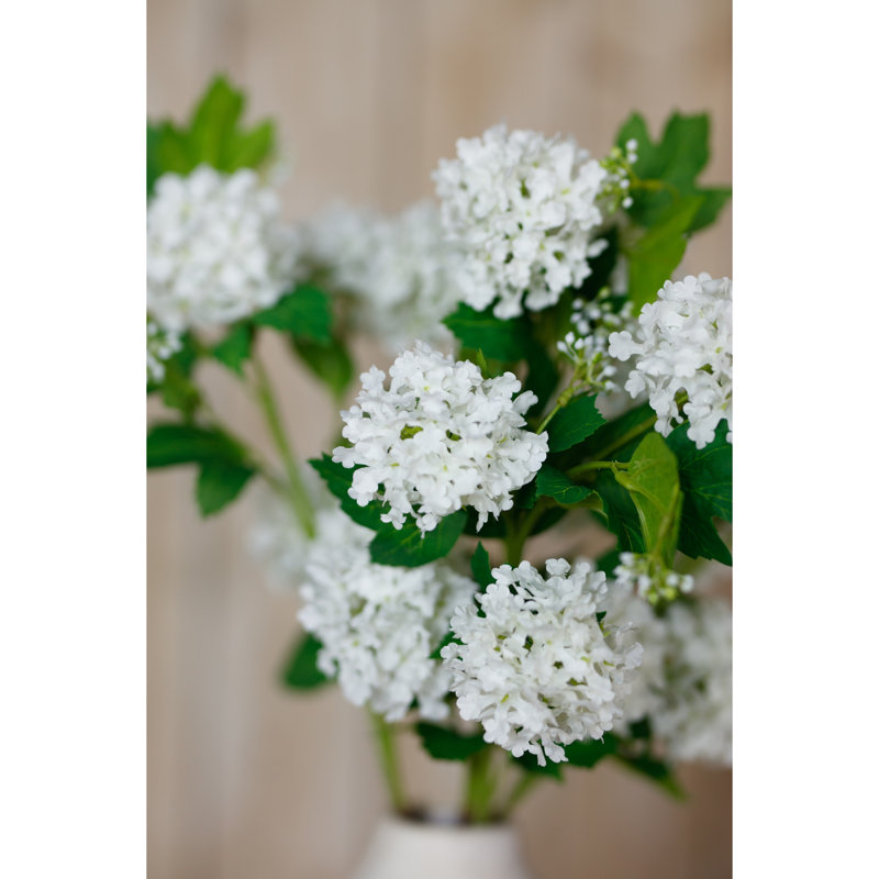 Anastasija Arrangement, White, Brown