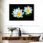Harnek Lotuses sur fond noir-107878035
