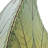 Eangee 24 Inch Leaflet Table Lamp Made With Real Leaves -475760003