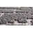 Kierre Contemporary Abstract Gray Indoor Shag Area Rug-854749800