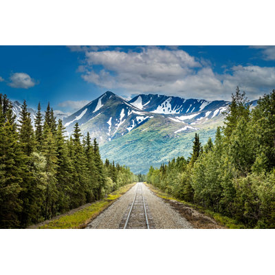 " Railroad To Denali National Park " by Martina Birnbaum