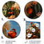 Désert cactus jardin II - décoration murale florale et botanique en métal-2144689586