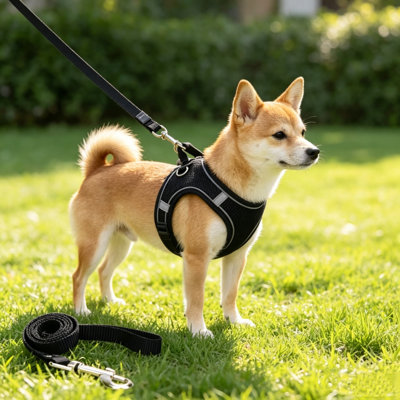 Step-In Breathable Mesh Dog Harness with Matching 1.5m Flat Leash, Black M Size Fit Small Dogs 14-17lbs, Chest Girth 44-48cm