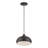 Aaranyan 1 Light English Bronze Pendant-2103114770