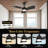 30 Inch Indoor Ceiling Fans with Lights and Remote Control, DC Slient Motor, Dimmable, Reversible, Timmer, 3 CCT, Black