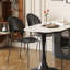 Modern Simple Durable Carbon Steel Dining Chairs