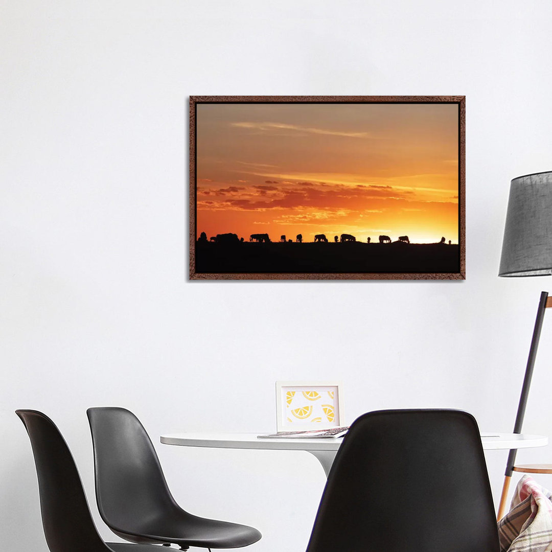 Sunset Silhouette Of Wildebeest In Africa von Susan Richey - Gallery-Wrapped Canvas Giclée on Canvas