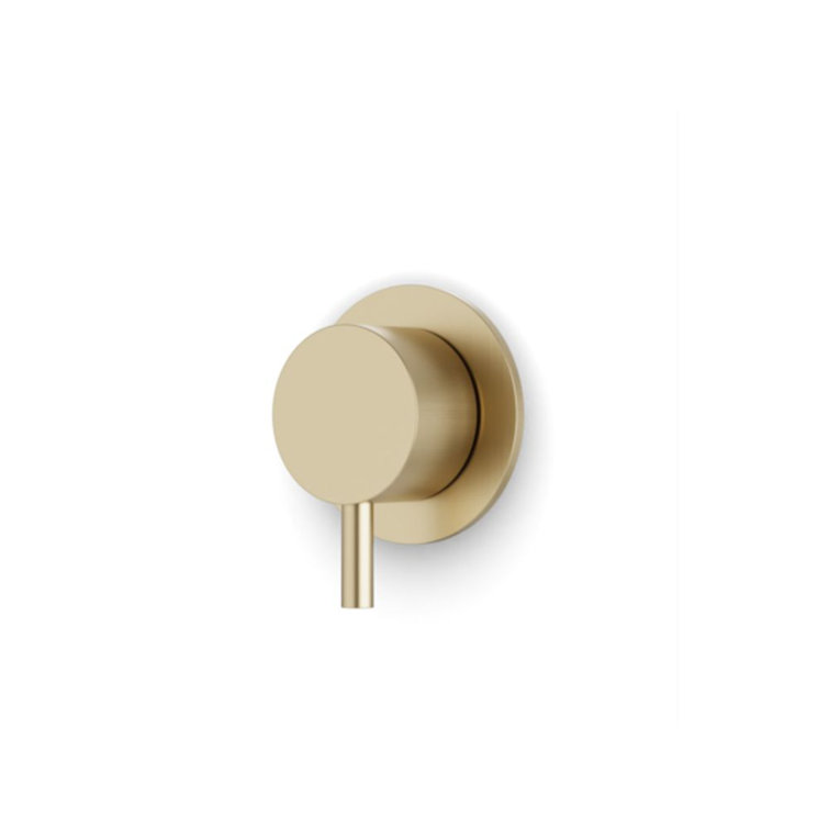 Round Volume Control Trim Kit Satin Brass