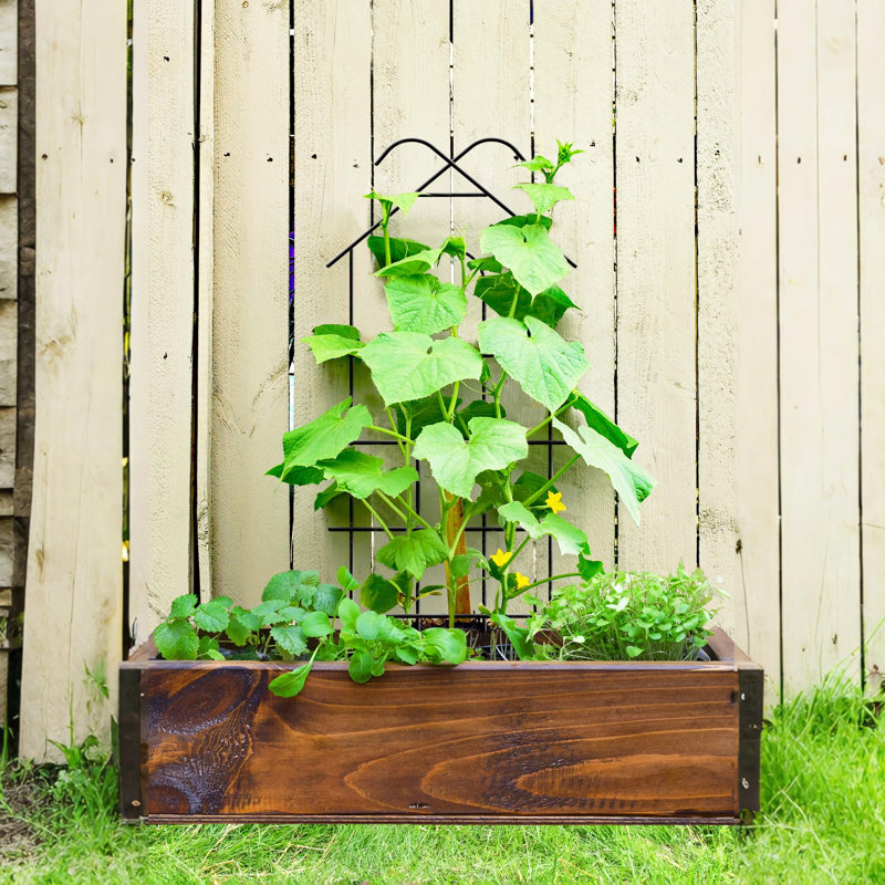 102cm H x 42cm W Metal Lattice Panel Trellis