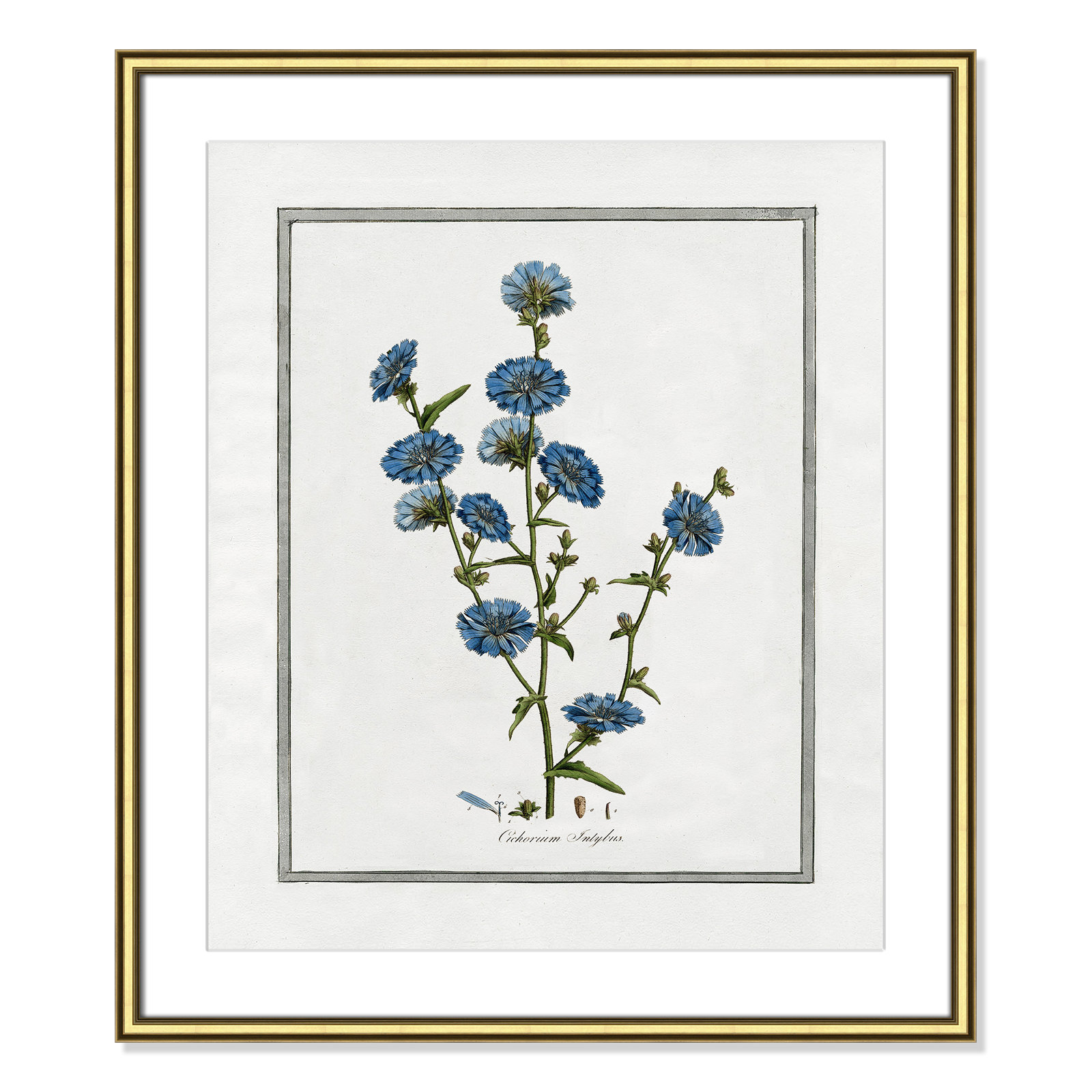 Colombe "Soft Botanical I" Print, Gold Framed, 22.75" W x 26.75" H