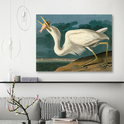 Great White Heron by John Audubon - 1 Piece Painting on Canvas
