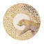 Alienna Ceramic Decorative Plate