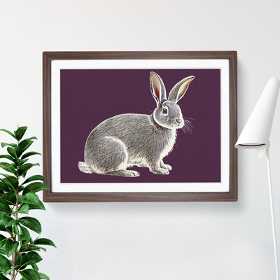 Vintage Rabbit Art - Framed Print