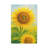 Aaroon Single Picture Frame Print on Canvas-2015368693