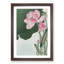 Pink Lotus Flower by Ohara Koson - Framed Print-55584103-55584107