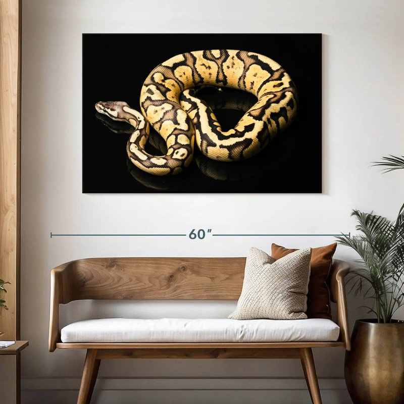 Brampt Female Python Snake, 32" H x 48" W