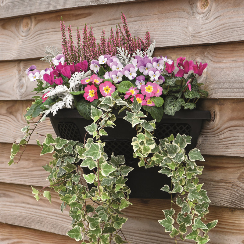 Bottorff Wall Planter
