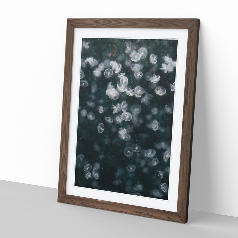 Jellyfish Vol.4 - Picture Frame Painting, 48cm H x 36cm W x 2cm D, Walnut