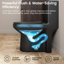 Toilette compacte une pièce à jupe Sotomo