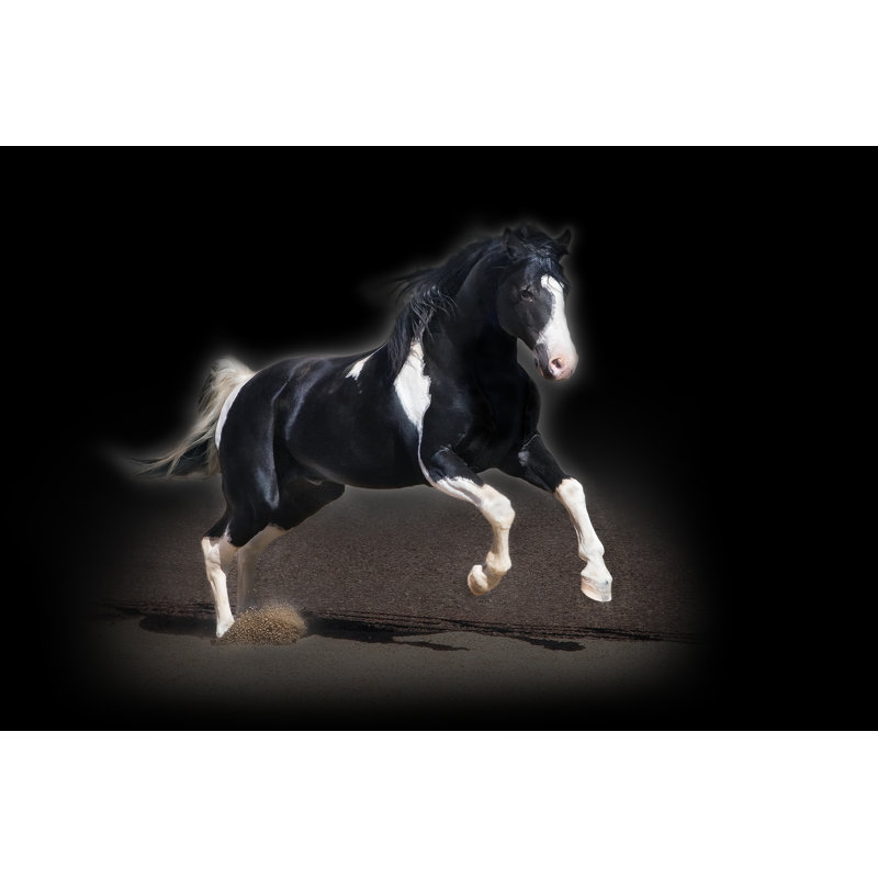 Portrait de cheval, H 12 po x l 18 po x P 1,25 po