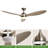 Armillda 56'' Ceiling Fan with LED Lights