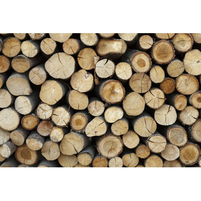 Sawed Tree Trunks by Artur - Wrapped Canvas Photograph