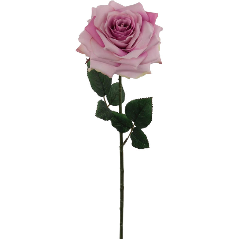 20" Open Rose Stem - 4 Pack