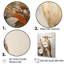 «Beige Elegant Natures Songbirds» sur toile-759911783-759911782