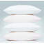 Plain Dye 200 TC Egyptian-Quality Cotton 100% Cotton Plain Pillowcase-16107342