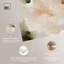 Boules de coton et cannelle-99523174-99523181