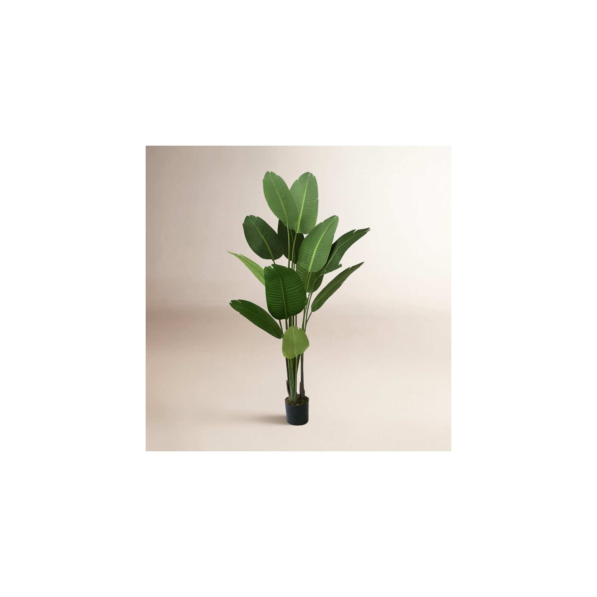 Birch Lane™ Artificial Bird of Paradise in Pot with Dried Moss, UV Resistant, 4 / 5 / 6 / 7 Feet, 72" H x 7.1" W x 7.1" D