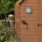 8'' Wireless Outdoor Thermometer
