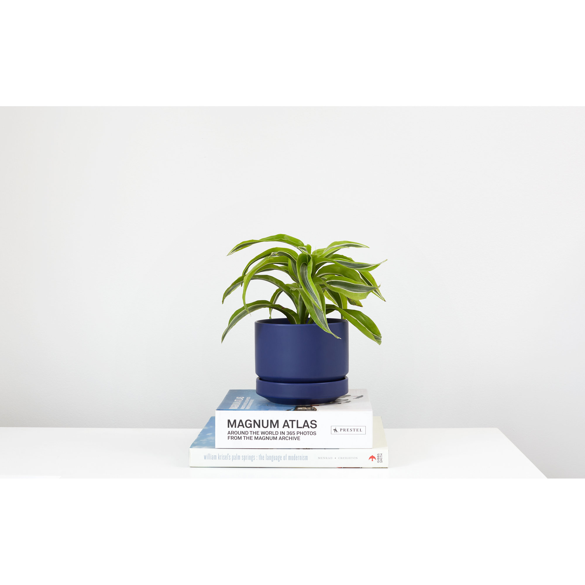 Byer Handmade Ceramic Pot Planter, 4.25" H x 5" W x 5" D, Blue