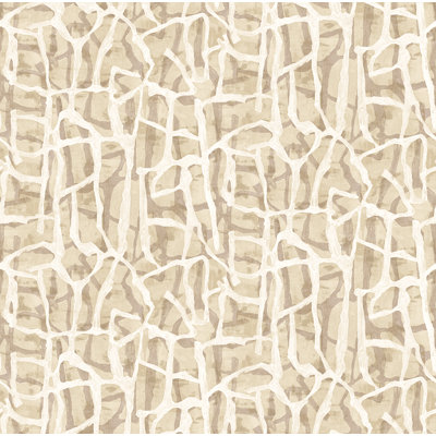 Zenia Abstract Double Roll