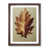 Walnut Framed