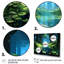 «Jungle River Collage At Night 3», art mural Jungle-677895504-677895507