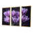 Toile avec cadre flottant or